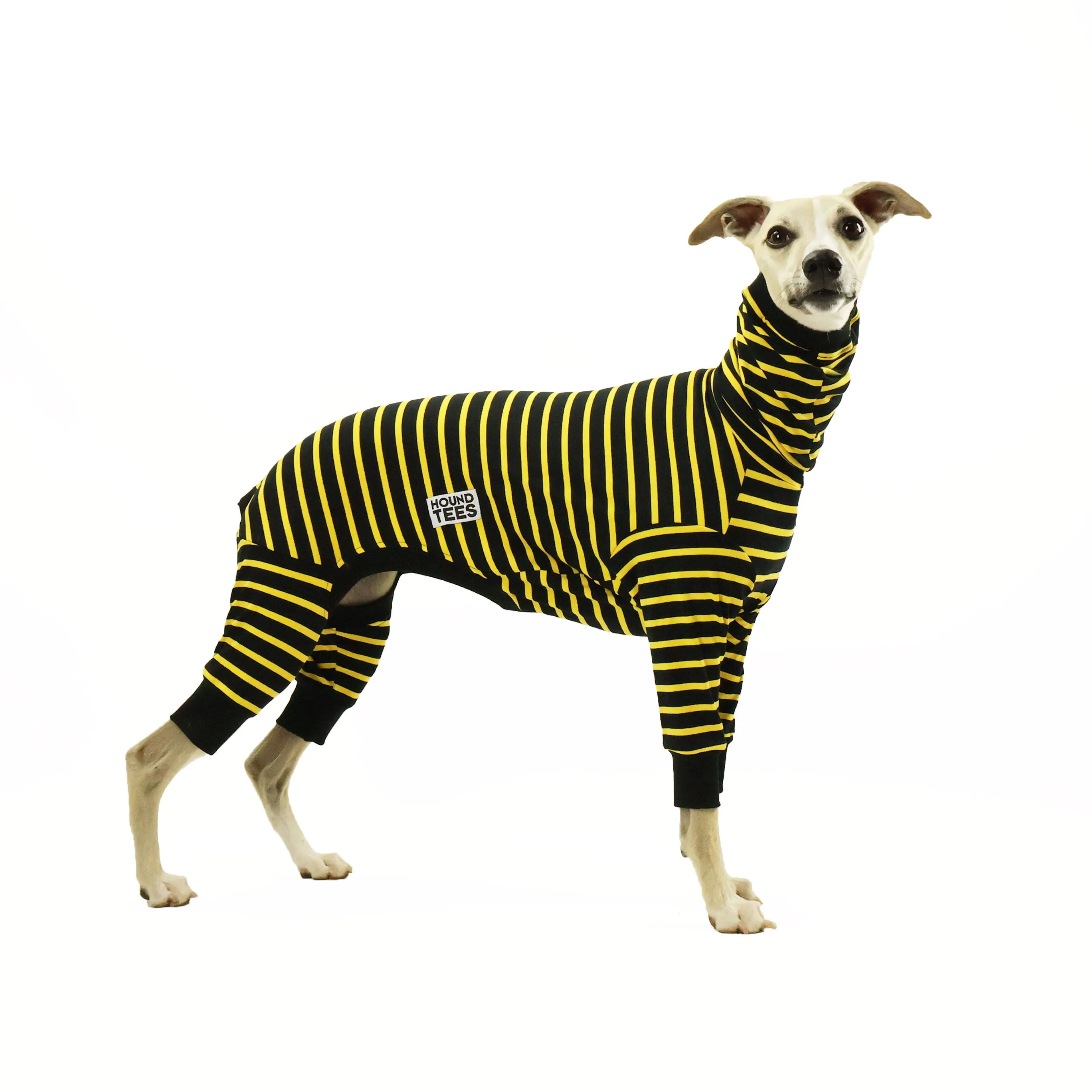 Bumble Whippet Long Johns Hound-Tee