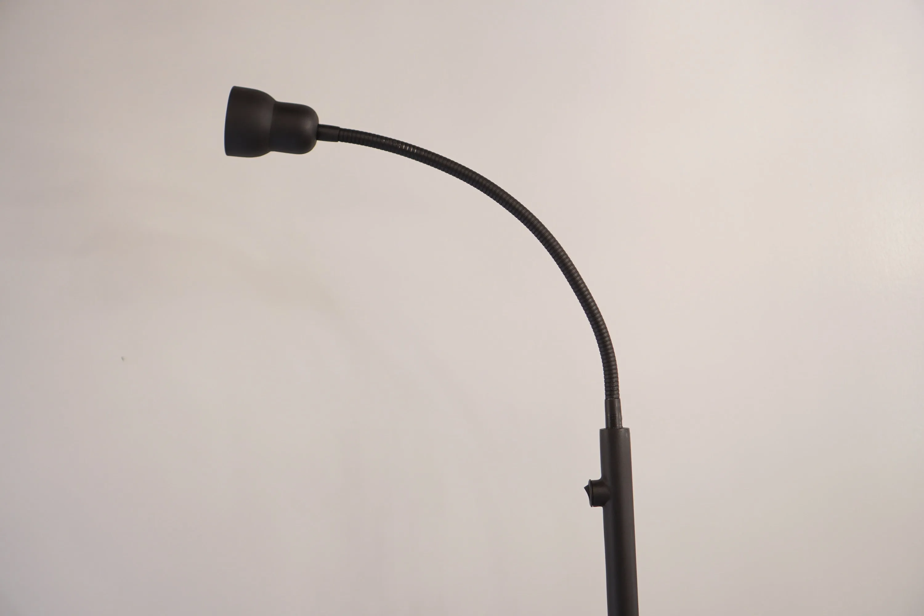 Gooseneck Floor Lamp